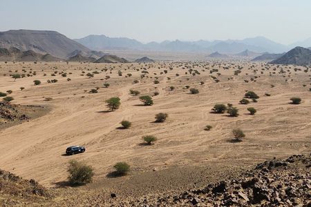 Mountain Hiking Experience in Nature Reserve Madinah