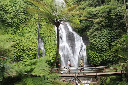 Bali: Discover North Bali on a Private Full-Day Tour