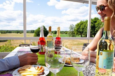 PRIVATE Visit to Authentic Finnish Berry Winery + Tasting 