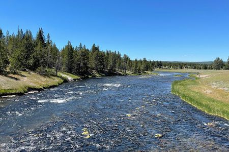 Yellowstone Bus Tour