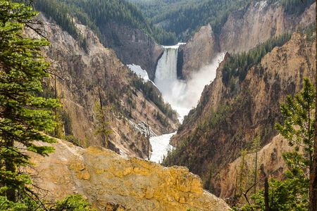 Yellowstone Private Tour Up To 14 - A Surprise Activity Included