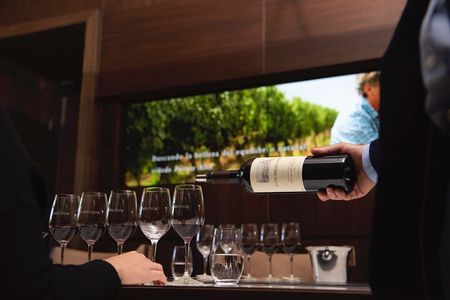 Santiago Private Don Melchor De Luxe Wine Tour