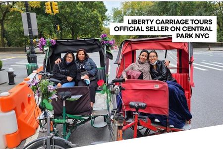 New York City Central Park Private Pedicab Tour