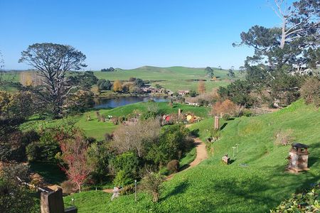 Hobbiton Afternoon Tour in Luxury Minibus from Auckland