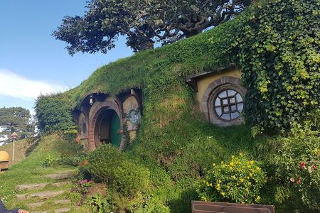 Hobbiton Afternoon Tour in Luxury Minibus from Auckland to Auckland
