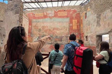Pompeii’s Newest Discoveries: Guided Tour with Pickup from Naples