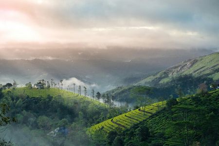 5 Day Kerala Tour from Kochi with Houseboat Stay
