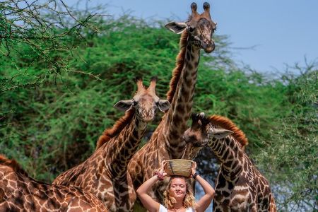 Serval Wildlife Safari, Materuni Waterfall Hike and Coffee Tour