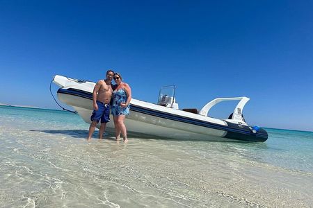 Private Speedboat, Swim With Dolphins & Island Snorkel - Hurghada