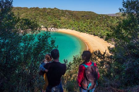 Full-Day Abel Tasman National Park Hiking Tour with Cruise