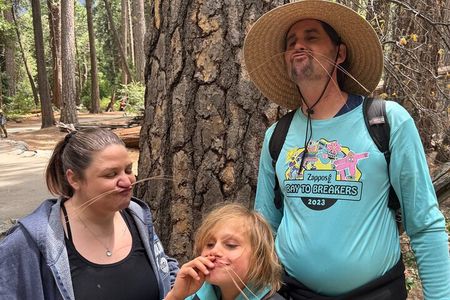 The Evolution of Yosemite 3 Hour Walking Tour