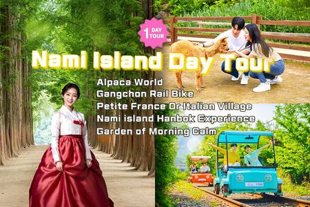 Nami Island/Alpaca/Rail Bike/Petite France/Morning Calm Tour