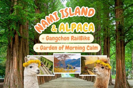 Alpaca World Tour with Nami Island & opt Railbike or Garden