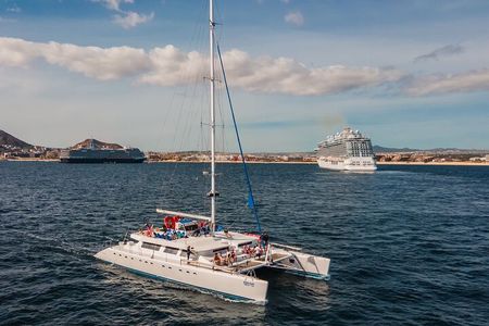 Multimillion Yacht Cruise Sunset Snorkel whale watch Hotel PICKUP