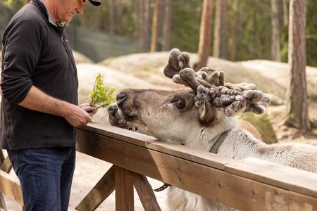 Reindeer Park Adventure