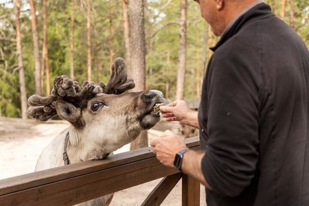 Reindeer Park Adventure