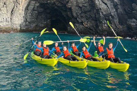 Turtle and Dolphin Watching Kayaking and Snorkeling Tour