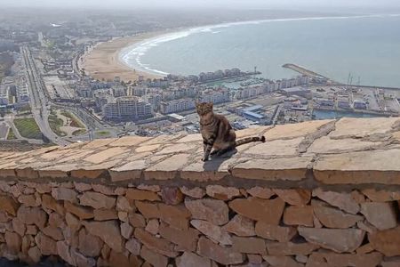 Agadir City Tour – VIP Experience Like No Other !