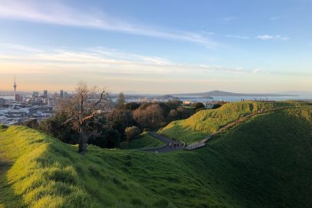 Private Auckland Tour