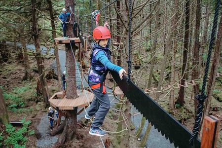 Aerial Adventure Ropes Course in Sitka