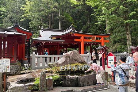 Hakone Private Day Tour with Hot Springs & Lake Ashi Cruise
