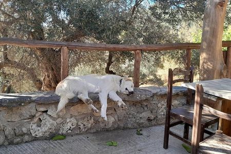Eat & Crete Food Tour [out of the box]- Chania Villages