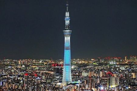 Tokyo Sightseeing Tour by Private Car with Bilingual Driver-Guide