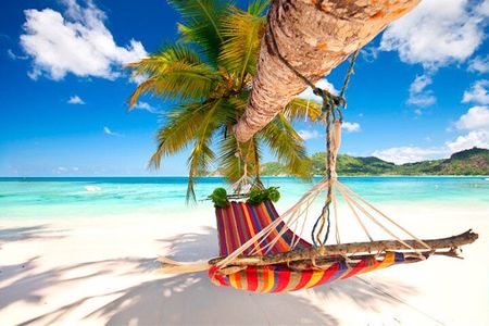 Guided Saona Island Tour in Punta Cana