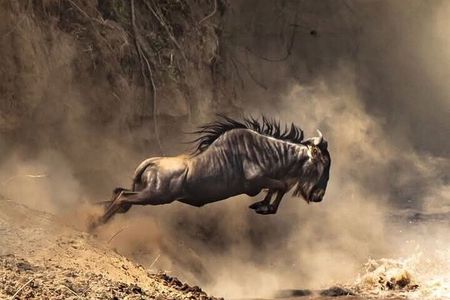 3Days Maasai Mara Migration Safari