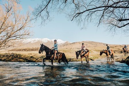 Gold Discovery Trail Horse Trek Cardrona - Most popular!