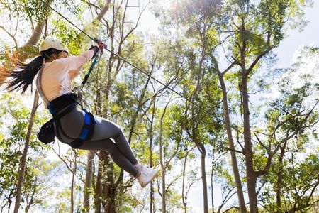 High Ropes and Zipline Adventure - Adrenaline Pass
