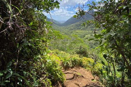 Hiking Maui Hawai’i 