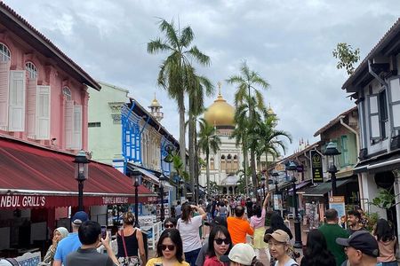 Big Bus Van Singapore City Tour 4 Hours ( Max 8 people) 