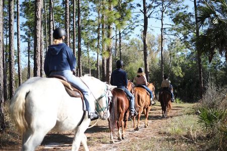 1 Hour Guided Horseback Trail Ride Rock Springs Run State Reserve