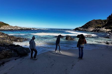 Zapallar Walking & Bird Watching Penguins Private Tour From Stgo