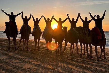 Tangier : Sunset Camel Ride With Barbecue dinner in Tangier 