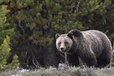 Grand Teton National Park - PRIVATE Sunrise Tour from Jackson Hole