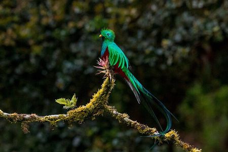 Birdwatching Tour: unlock the wonder, whether beginner or advanced
