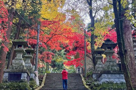 Private Hiking Tour with a certified national guide in Hakone