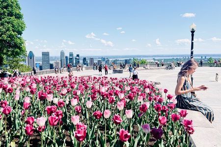 Montreal: 3-Hour Private Car Tour with Expert & Free Pick up