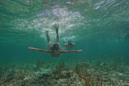  Catamaran Cruise in Riviera Maya With Snorkeling & Beach Club