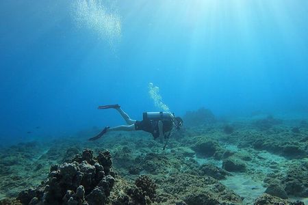 SCUBA Dive at Electric Beach with Photos -No Certification Needed