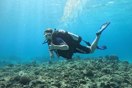 SCUBA Dive at Electric Beach with Photos -No Certification Needed