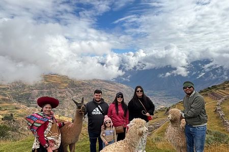 Alpaca Walk over the Sacred Valley of the Incas from Cusco