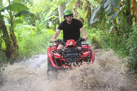 Bali ATV Quad Bike Monkey Forest Jungle Swing with Lunch