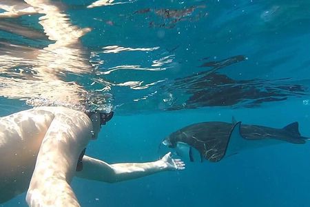 Snorkeling adventure to the manta ray habitat in Nusa Penida
