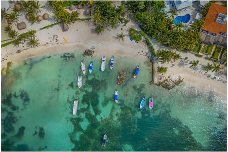 Tulum Ruins, Turtles in Akumal and Cenote tour