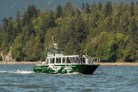 Intimate West Coast Whale Watching - Partly-Sheltered