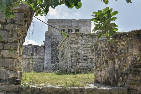 Tulum Ruins, Turtles in Akumal and Cenote tour