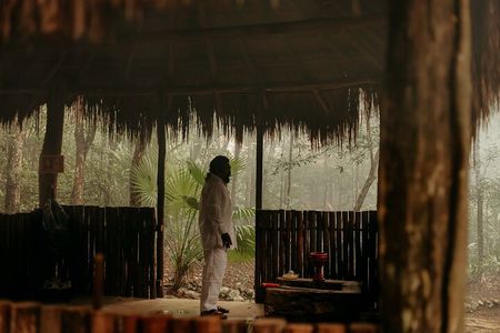 Cenote Expedition: Discover 3 Secret Cenotes with Mayan ritual